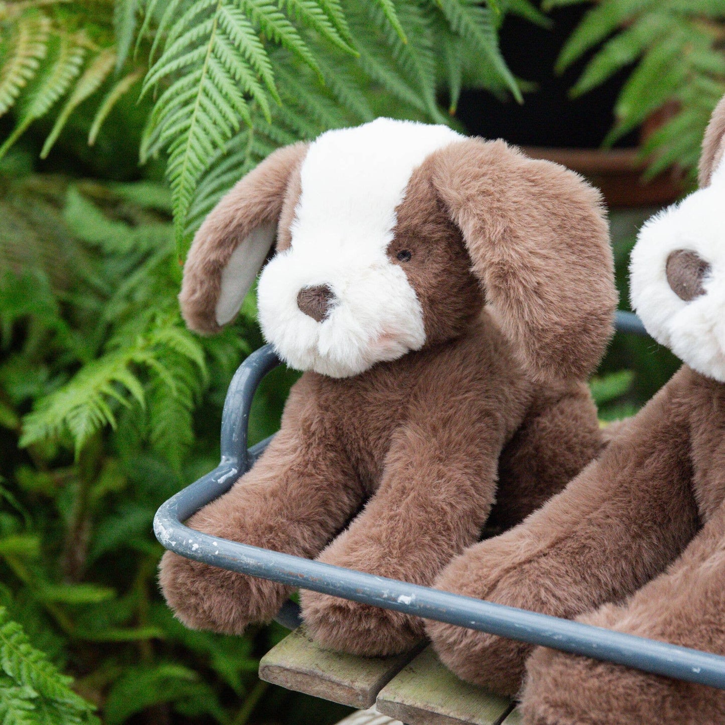 Little Floppy Mutt - Cocoa