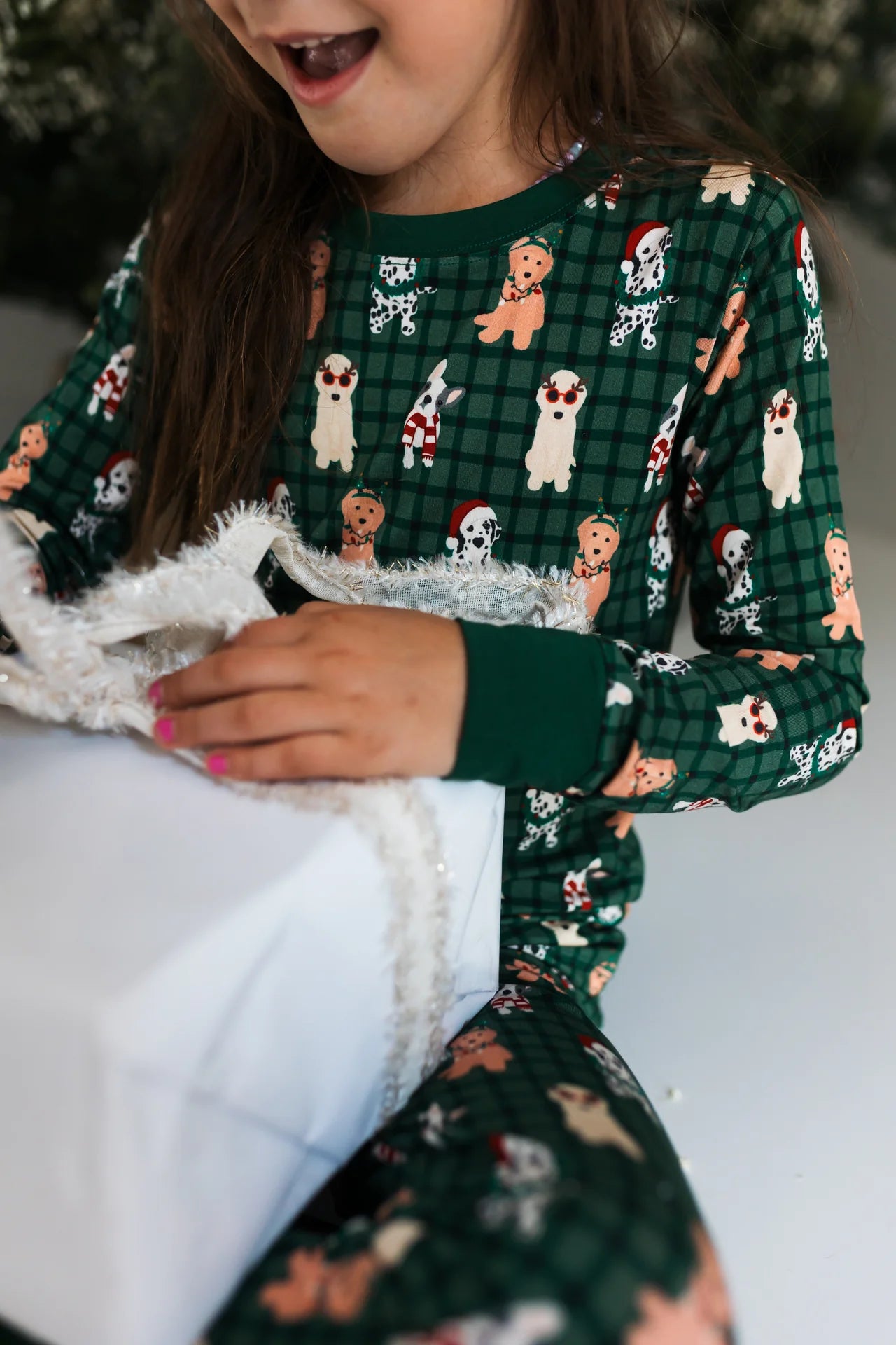 Christmas Pups Two Piece Set