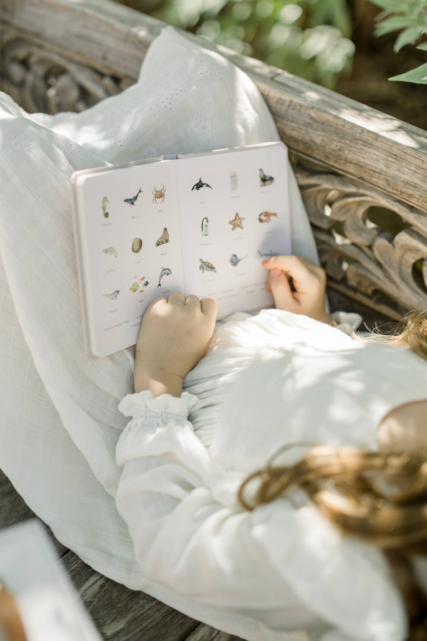 Our Little Library Vol. 2