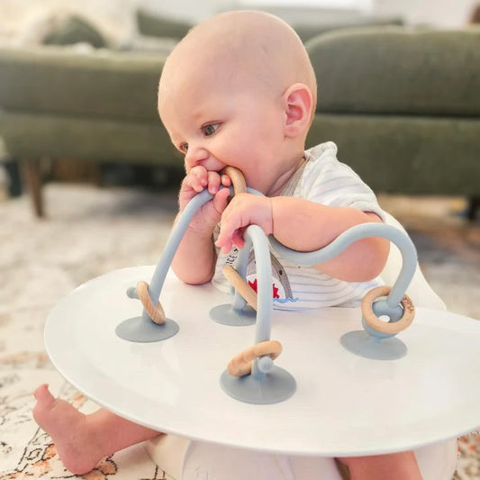 Blue On The Go Suction Toy