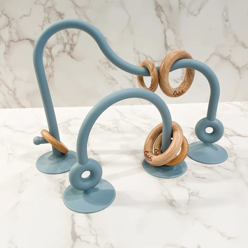 Blue On The Go Suction Toy