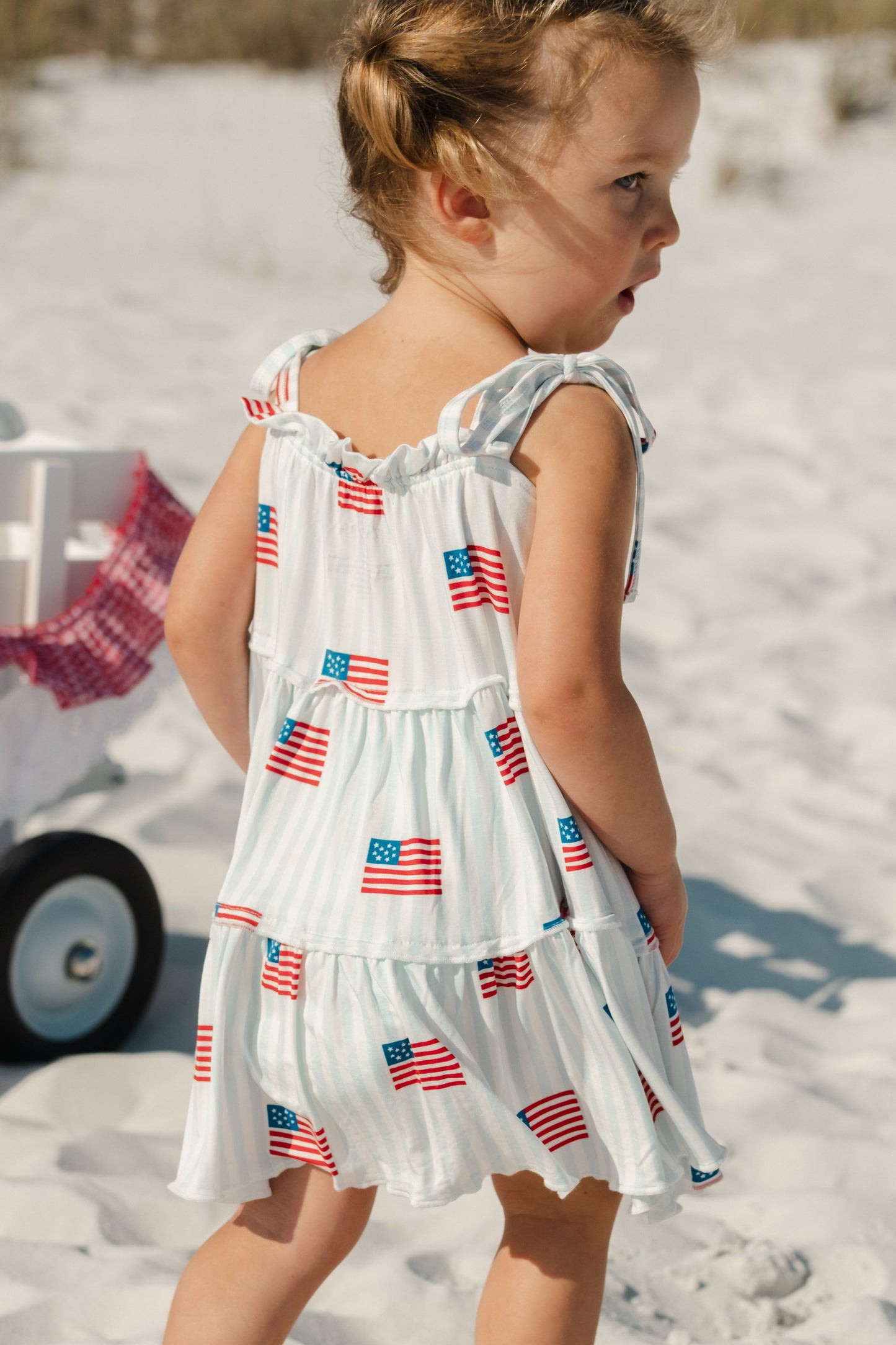 All American Twirl Dress