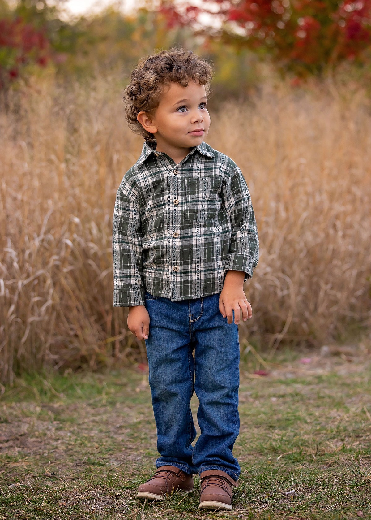 Plaid & Pine Button Down
